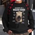 Dogs 365 Anatomy Of A Soft Coated Wheaten Terrier Dog Sweatshirt Gifts for Old Men