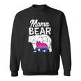 Bisexual Pride Mama Bear Bi Flag Lgbtq Mom Ally Women Gifts Sweatshirt