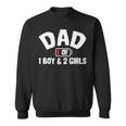 Dad Of One Boy And Two Girls Sweatshirt
