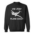 Funny Im Just Plane Crazy Pilots Aviation Airplane Lover Sweatshirt