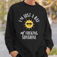 Im Just A Ray Of Fucking Sunshine Funny Sarcastic Sweatshirt Gifts for Him