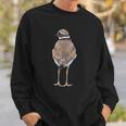Killdeer Cute Graphic Tee Birding Gift Bird Lover Sweatshirt Gifts for Him