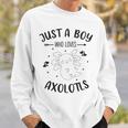 Funny Axolotl Quote Mexican Walking Fish Just A Boy Who Loves Axolotls Sweatshirt Gifts for Him