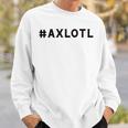 I Axlotl Questions Cute Axlotl V4 Sweatshirt Gifts for Him