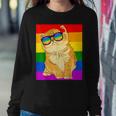 Funny Cat Lgbt Gay Rainbow Pride Flag Boys Men Girls Women Sweatshirt Gifts for Her