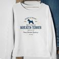 Vintage Style Retro Soft Coated Wheaten Terrier Raglan Baseball Tee Sweatshirt Gifts for Old Women