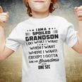 I Am A Spoiled Grandson I Do What I Want When I Want Where I Want Except I Gotta Ask My Grandma One Sec V2 Youth T-shirt