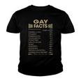 Gay Name Gift Gay Facts V2 Youth T-shirt