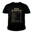 Gay Name Gift Gay Facts Youth T-shirt
