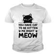 Cute Cat Lover Youve Got To Be Kitten Me Youth T-shirt