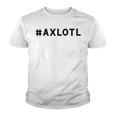 I Axlotl Questions Cute Axlotl V4 Youth T-shirt