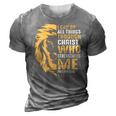Christian I Can Do All Things Through Christ Lion Faith 3D Print Casual Tshirt Grey