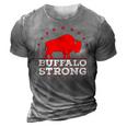 Vintage Pray For Buffalo - Buffalo Strong 3D Print Casual Tshirt Grey
