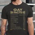 Gay Name Gift Gay Facts V2 Unisex Jersey Short Sleeve Crewneck Tshirt