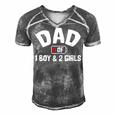 Dad Of One Boy And Two Girls Men's Short Sleeve V-neck 3D Print Retro Tshirt Grey