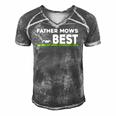Father Mows Best Gift Fathers Day Lawn Funny Grass Men's Short Sleeve V-neck 3D Print Retro Tshirt Grey