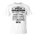 I Am A Spoiled Grandson I Do What I Want When I Want Where I Want Except I Gotta Ask My Grandma One Sec V2 Unisex T-Shirt