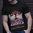 Chicken Chicken Chicken America 4Th Of July Independence Day Usa Fireworks V3 Unisex T-Shirt Gifts for Him