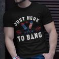 Womens Fourth Of July 4Th Of July Im Just Here To Bang Funny Unisex T-Shirt Gifts for Him