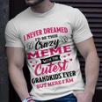 Meme Grandma I Never Dreamed I’D Be This Crazy Meme T-Shirt Gifts for Him